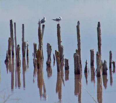 Прикрепленное изображение: bDSCF5958.jpg